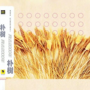 被操干插射塞跳蛋
